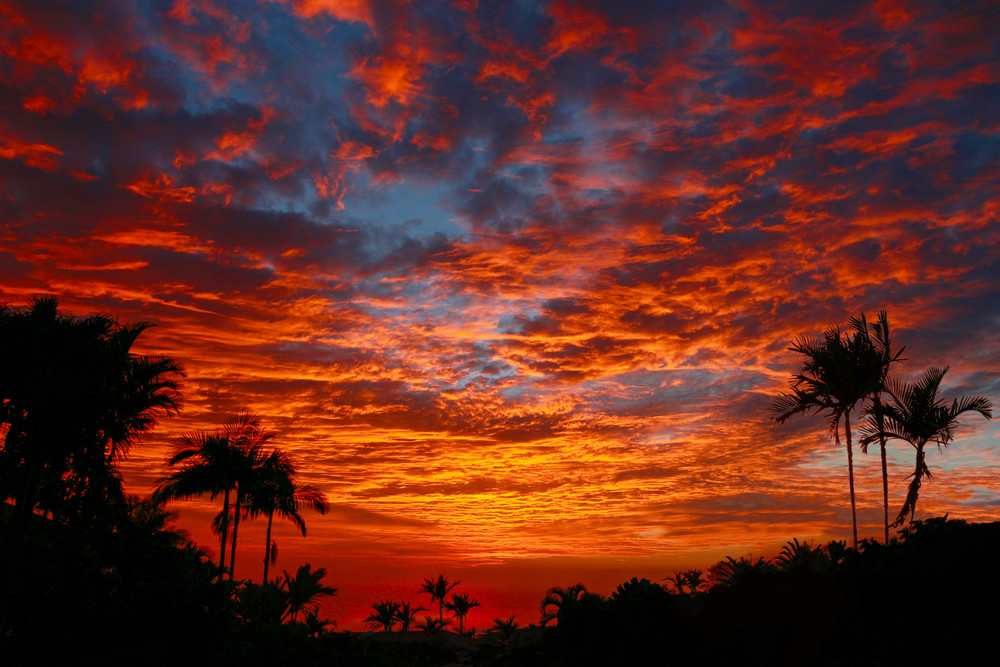 Kona Fire Sky Photography Art | Bird In Paradise