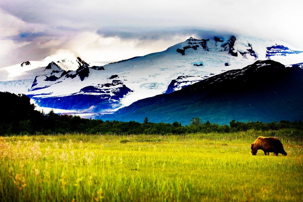 Wild Alaska Photography Art | Brokk Mowrey Photography