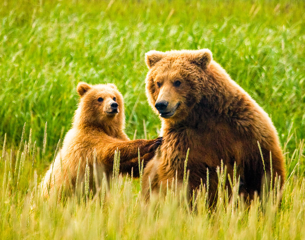 Leaning On Mom Photography Art | Brokk Mowrey Photography
