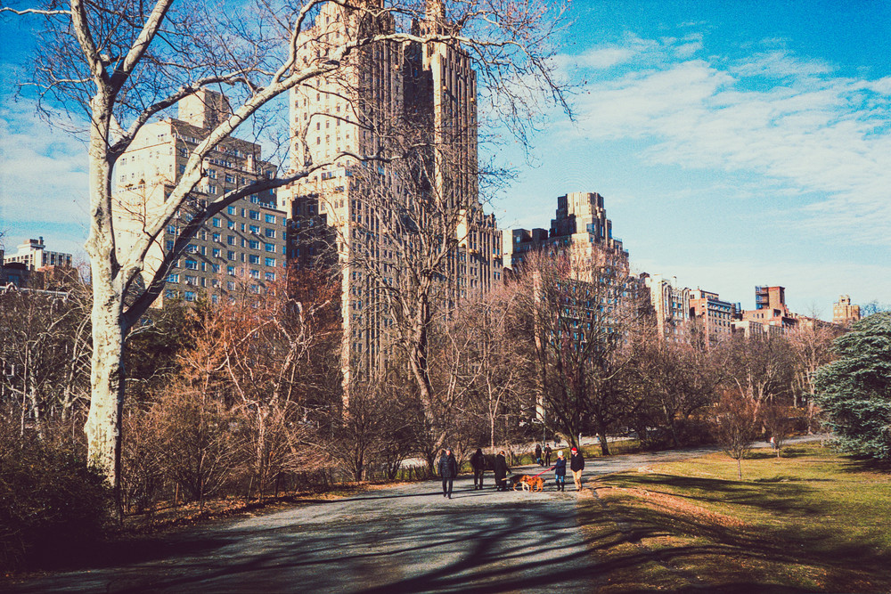 Urban Color 13 Photography Art | Dan Chung Fine Art