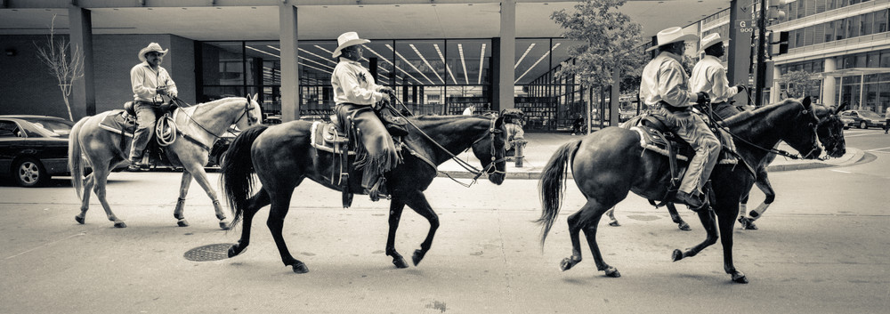 A group of horse riders on the street of Washington DC, captured on a panoramic camera.