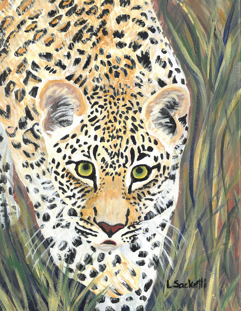 Leopard prints and merchandise | Linda Sacketti