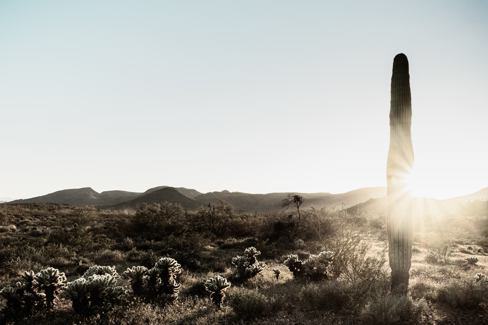 Sonoran Golden Hour Photography Art | Spry Gallery