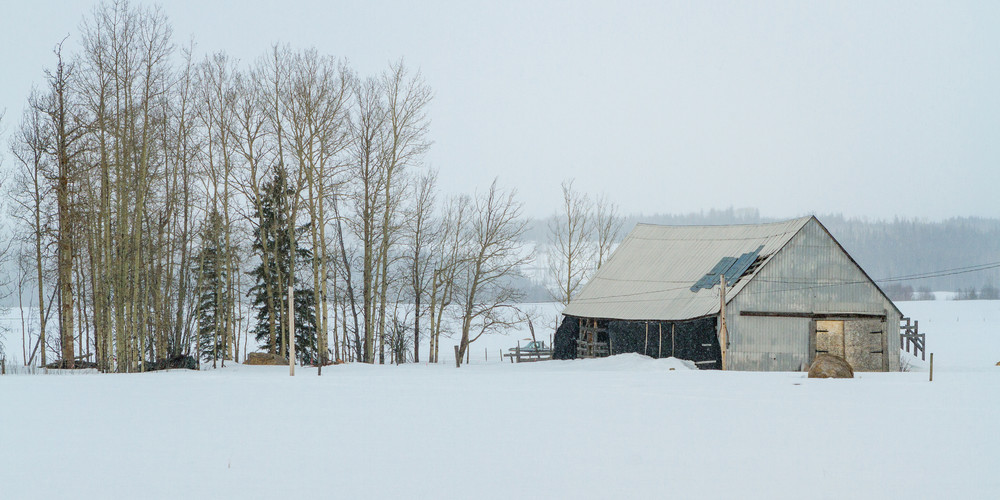 Salmon Valley Winter | Terrill Bodner Photographic Art