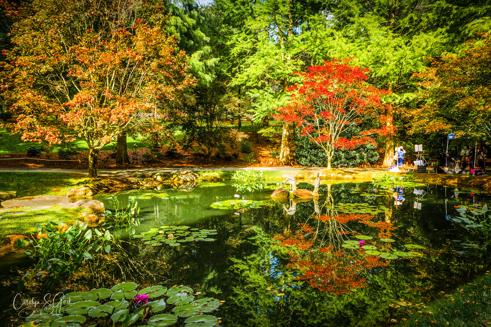 Colorful Gibbs Garden in the Autumn with Reflections