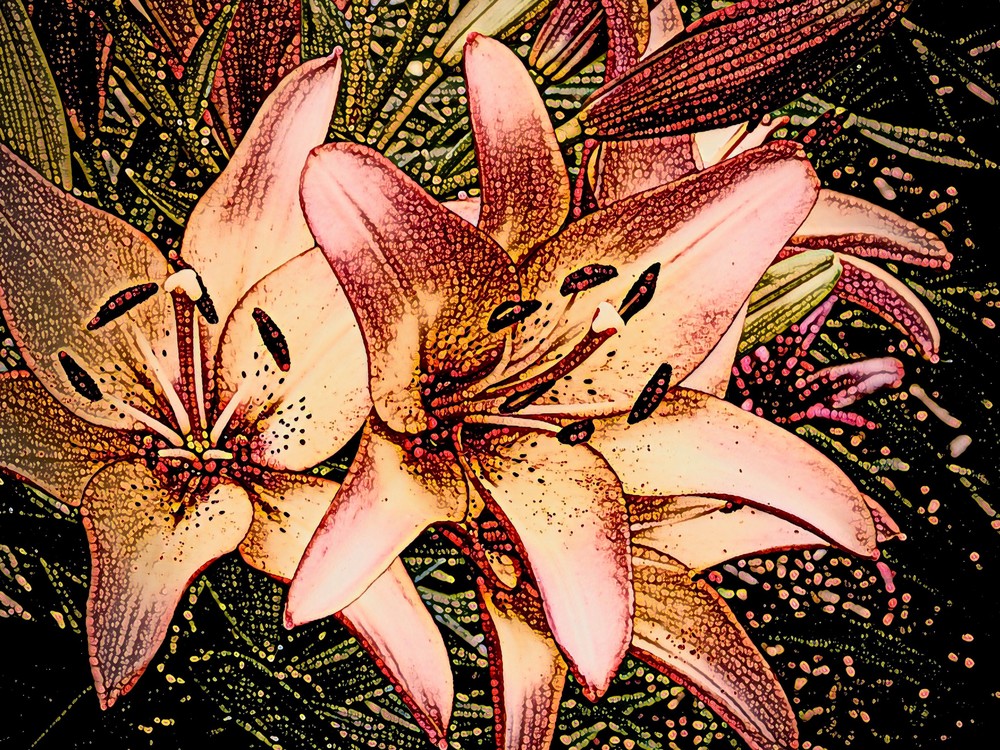 "Tiger Lilies" Art | CJ Harding 