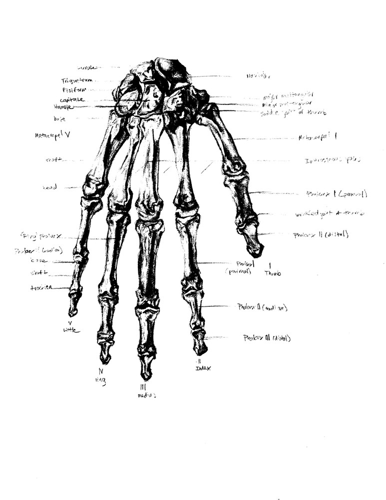 hand drawing