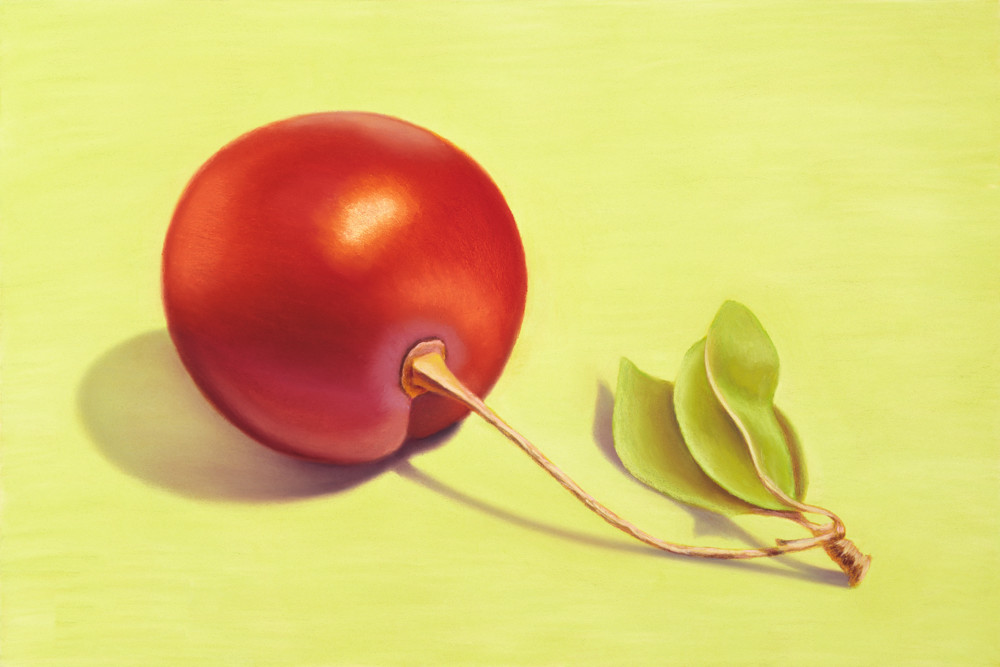 Washington Tart Cherry Art | Gema Lopez Fine Arts