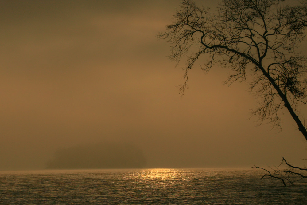 Foggy Sun Reflection Photography Art | White Deer Photography 