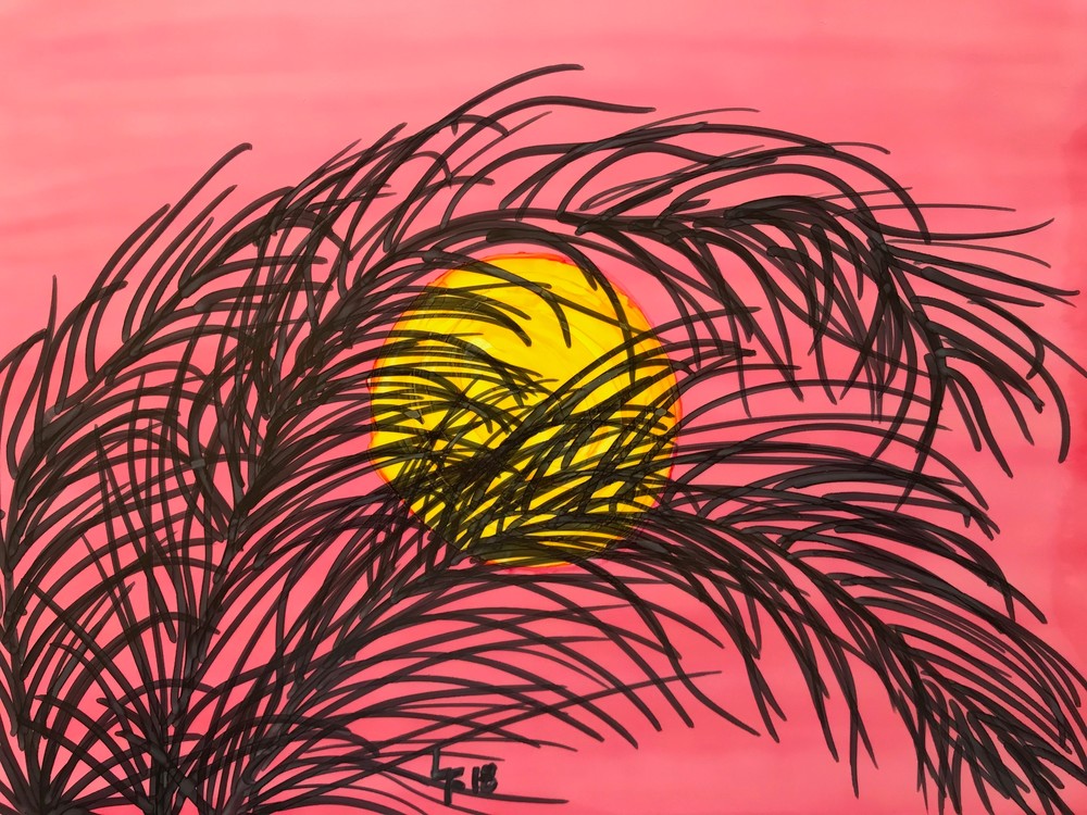 Palm Fronds At Sunset Art | Lynda Frautnick Fine Art