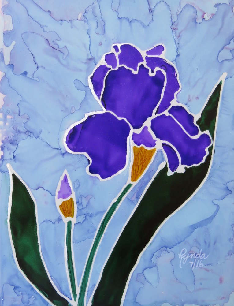 Hello, My Name Is Iris Art | Lynda Frautnick Fine Art