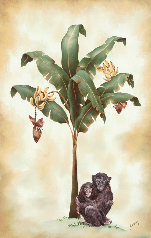 Monkeys And Bananas   Prints Art | Mercedes Fine Art