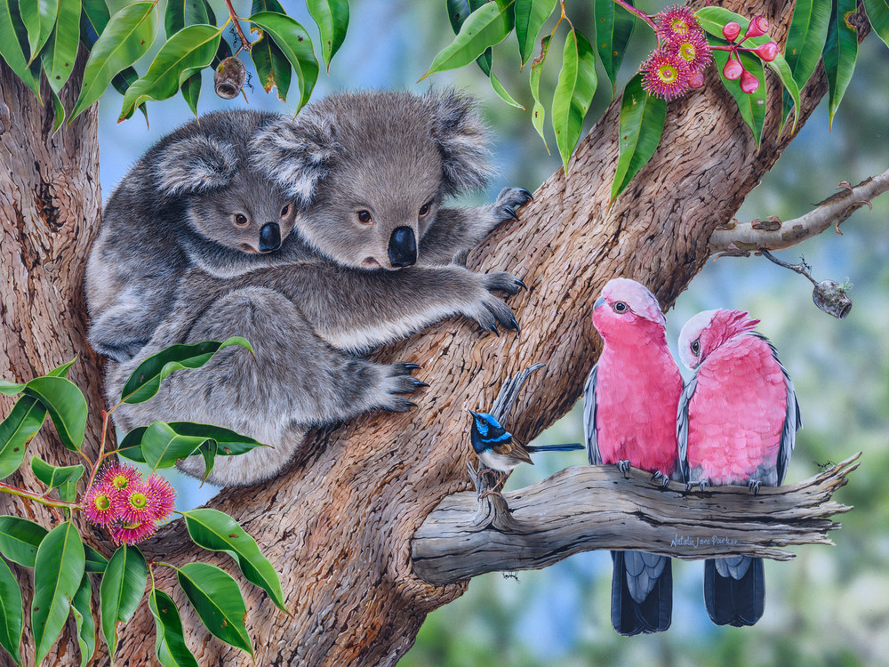 Koala (Phascolarctos cinereus) and joey Australian Wildlife Art by Natalie Jane Parker
