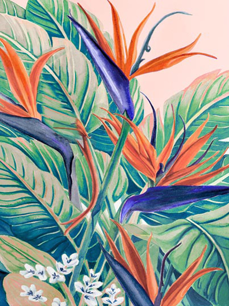 Birds Of Vivid Paradise Art | Surface Designed 