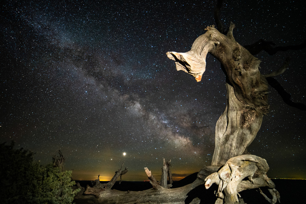 Milky Way Through Lightning Struck Tree Photography Art | Christopher Scott Photography