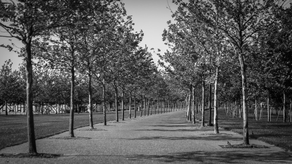 0 Y4 A7699 Photography Art | Captured Adventure Photography