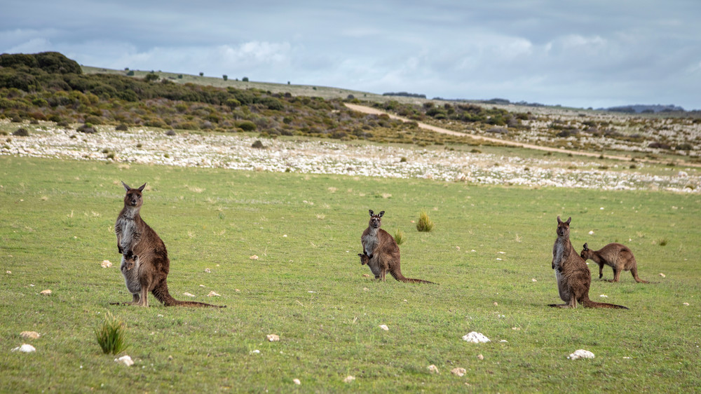 0 Y4 A5284 Photography Art | Captured Adventure Photography