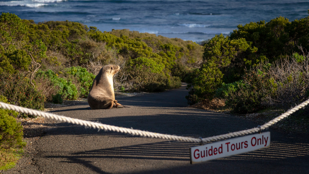 0 Y4 A5413 Photography Art | Captured Adventure Photography