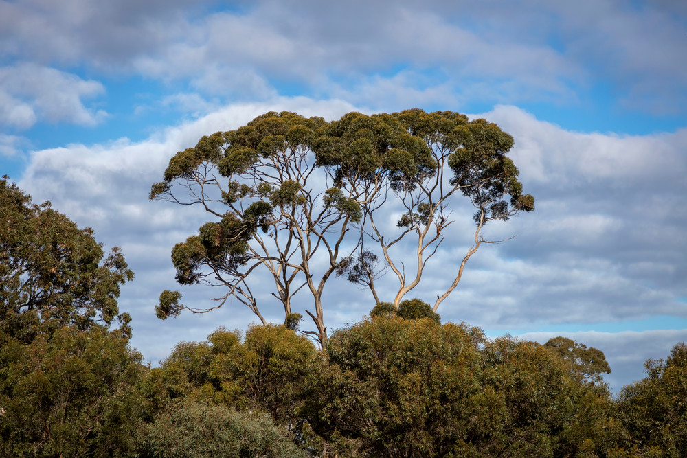 0 Y4 A5388 Photography Art | Captured Adventure Photography