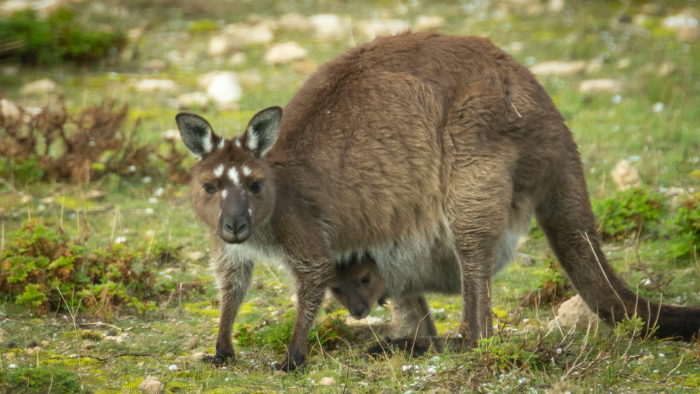 S00 A7832 Photography Art | Captured Adventure Photography