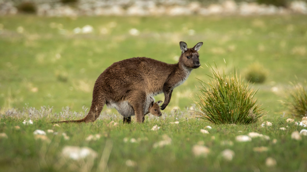 S00 A7937 Photography Art | Captured Adventure Photography