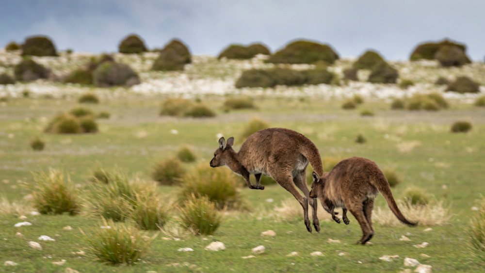 S00 A8031 Photography Art | Captured Adventure Photography