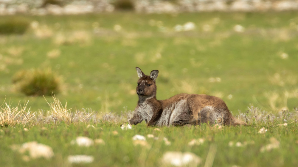 S00 A7971 Photography Art | Captured Adventure Photography