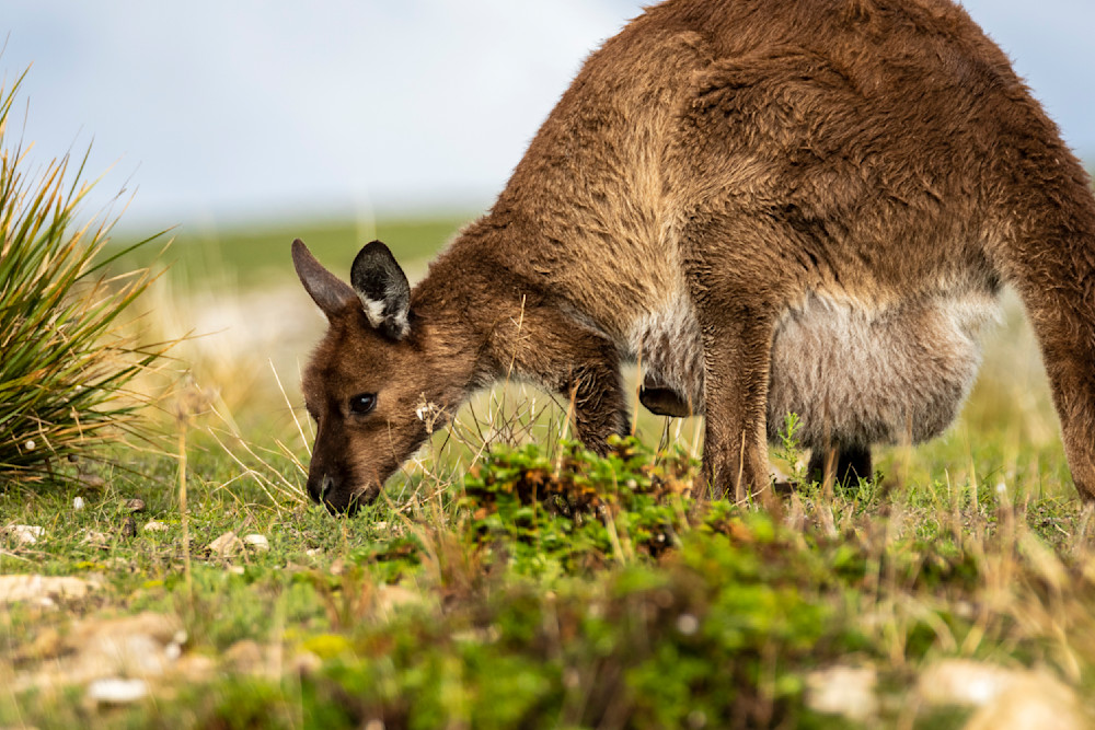 S00 A7995 Photography Art | Captured Adventure Photography