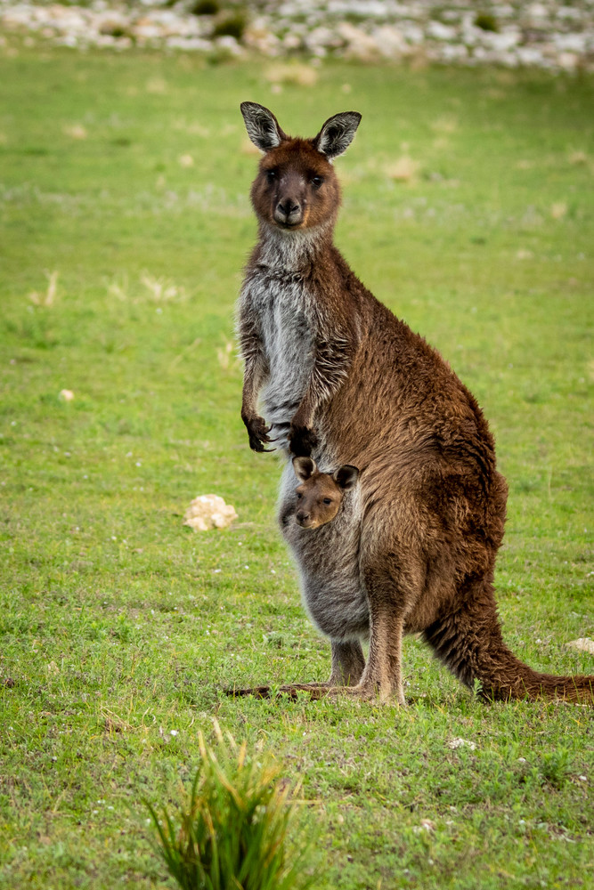 S00 A8226 Photography Art | Captured Adventure Photography