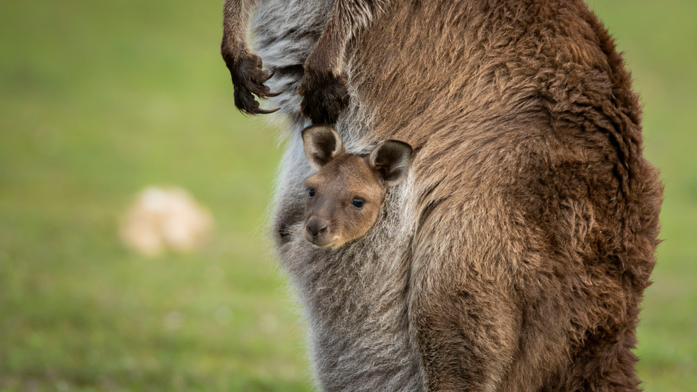 S00 A8243 Photography Art | Captured Adventure Photography