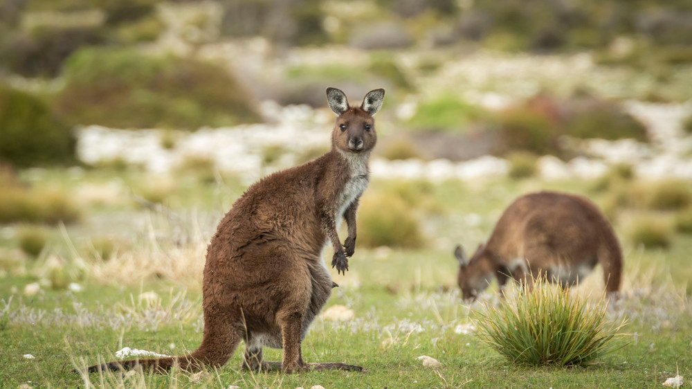 S00 A8053 Photography Art | Captured Adventure Photography