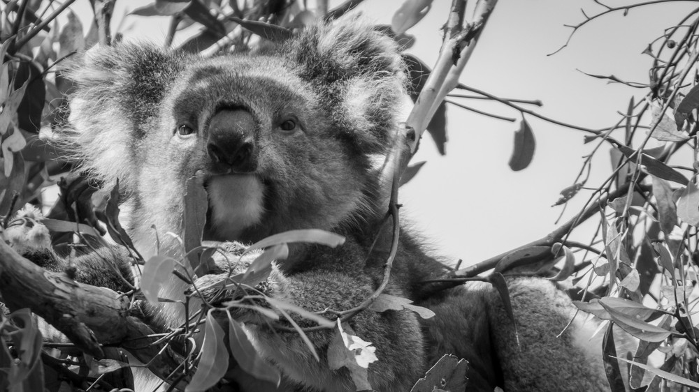 S00 A8794 Photography Art | Captured Adventure Photography