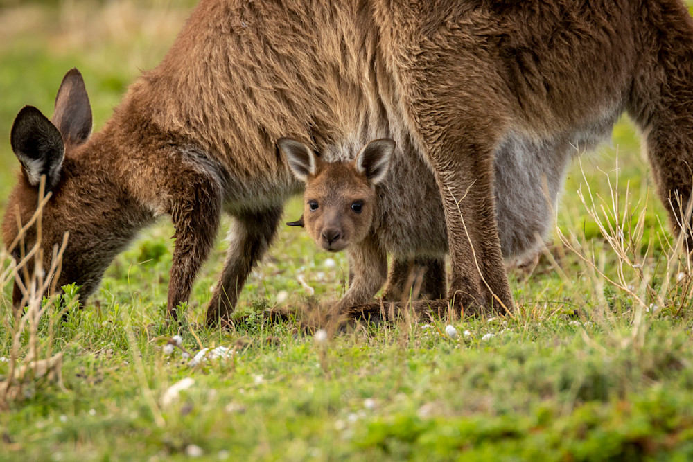 S00 A8297 Photography Art | Captured Adventure Photography