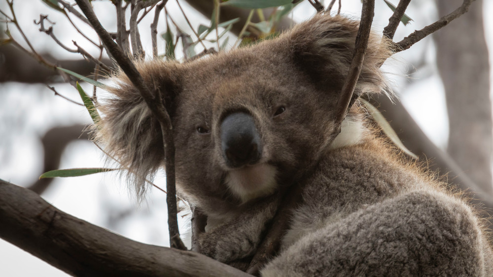 S00 A8619 Photography Art | Captured Adventure Photography