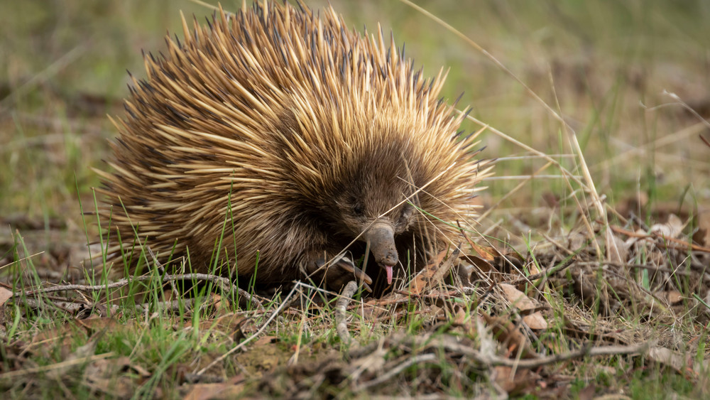 S00 A8410 Photography Art | Captured Adventure Photography