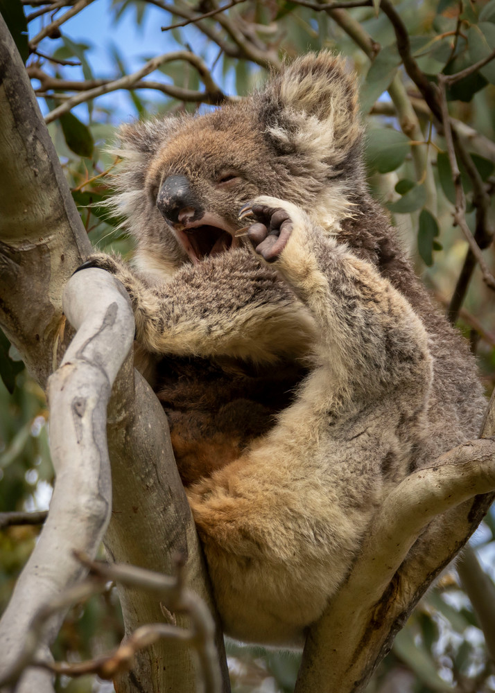 S00 A8960 Photography Art | Captured Adventure Photography