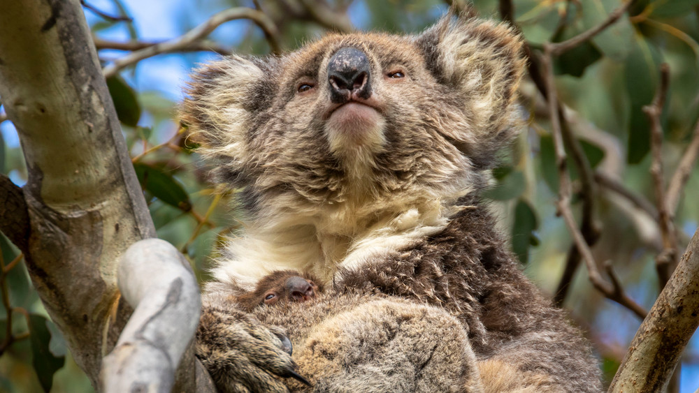 S00 A9045 Photography Art | Captured Adventure Photography