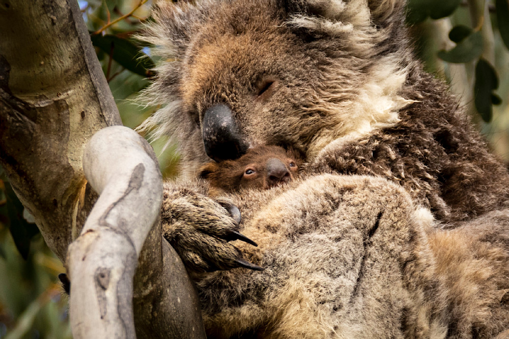 S00 A9024 Photography Art | Captured Adventure Photography