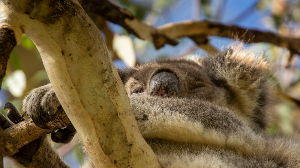 S00 A9201 Photography Art | Captured Adventure Photography