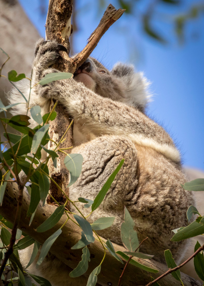 S00 A9212 Photography Art | Captured Adventure Photography