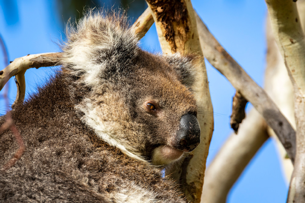 S00 A9291 Photography Art | Captured Adventure Photography