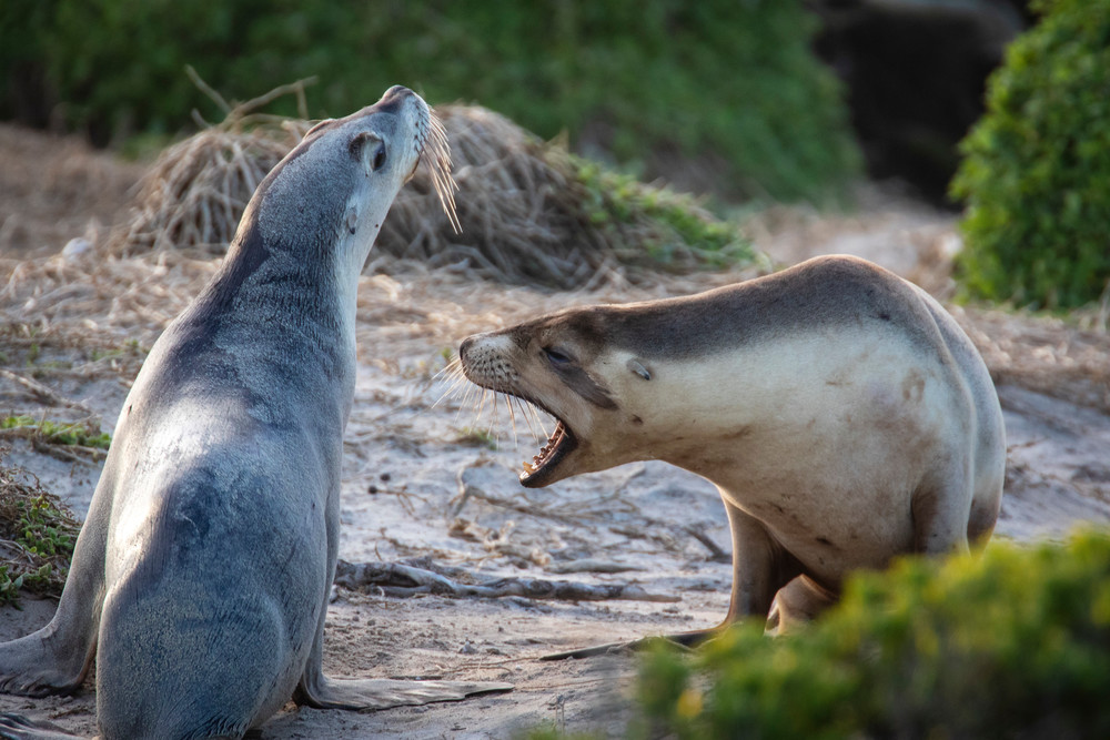 S00 A9416 Photography Art | Captured Adventure Photography