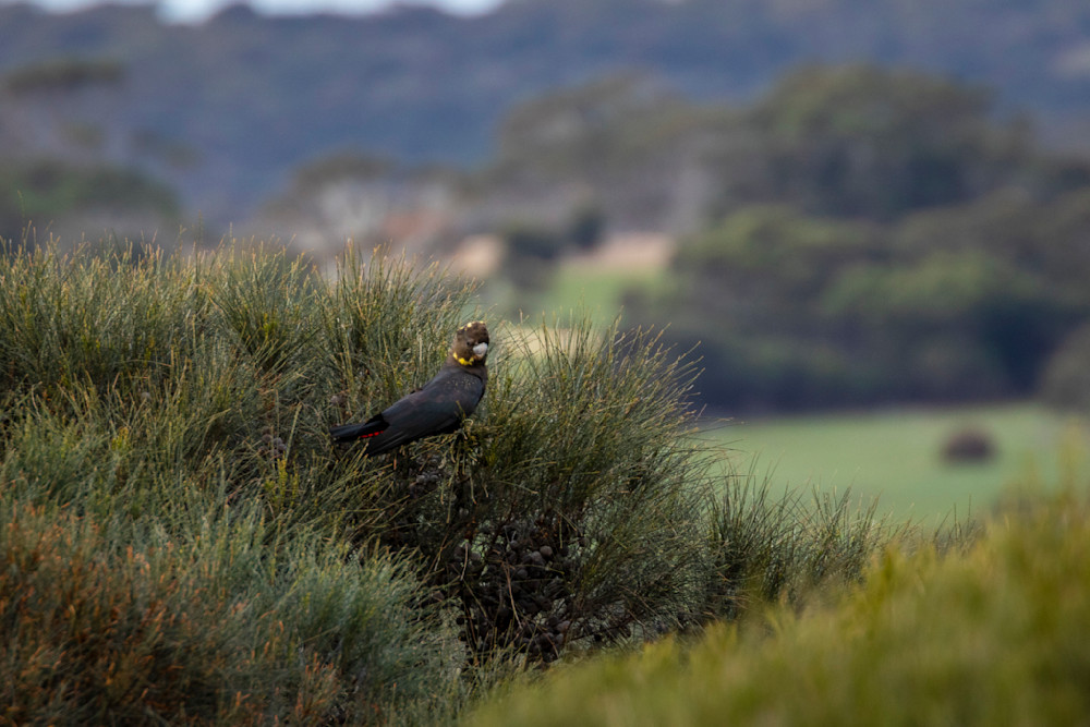 S00 A9775 Photography Art | Captured Adventure Photography