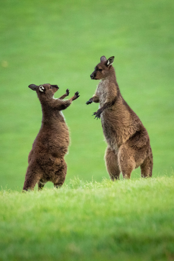 S00 A9863 Photography Art | Captured Adventure Photography