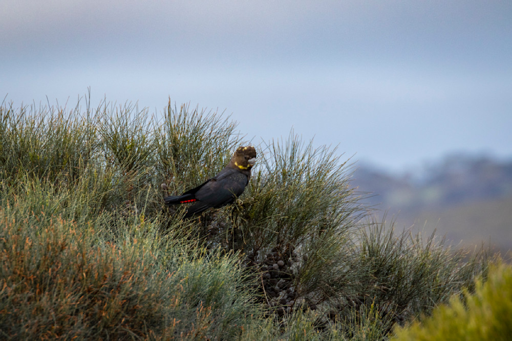 S00 A9801 Photography Art | Captured Adventure Photography