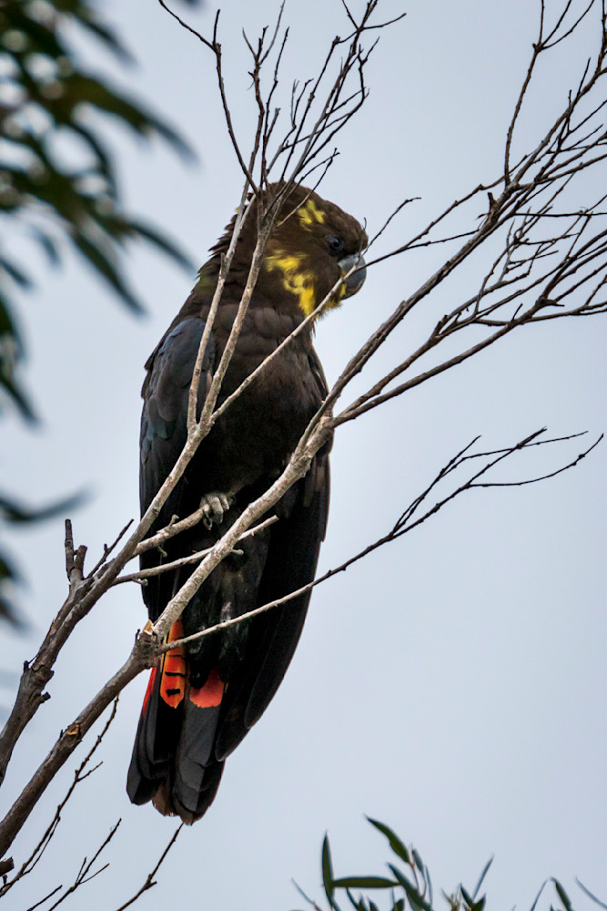 S00 A9999 Photography Art | Captured Adventure Photography