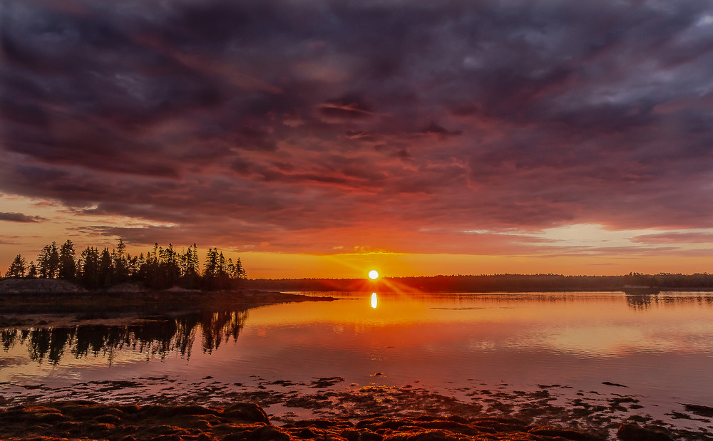 Sunrise At Cobscook Photography Art | Nelson Rudiak Photography 