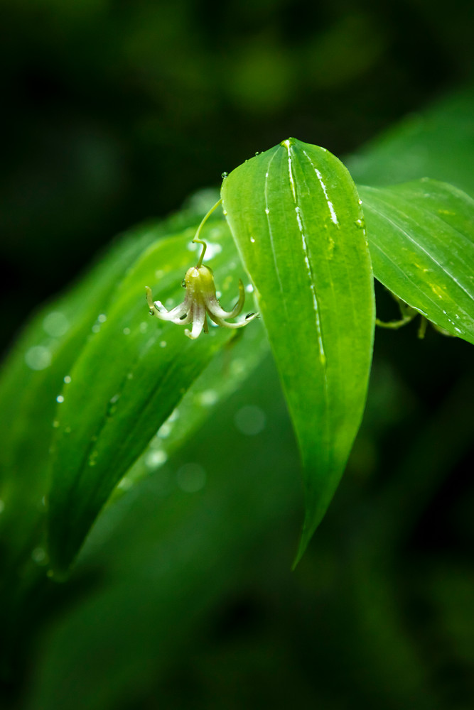 0 Y4 A3533 Photography Art | Captured Adventure Photography