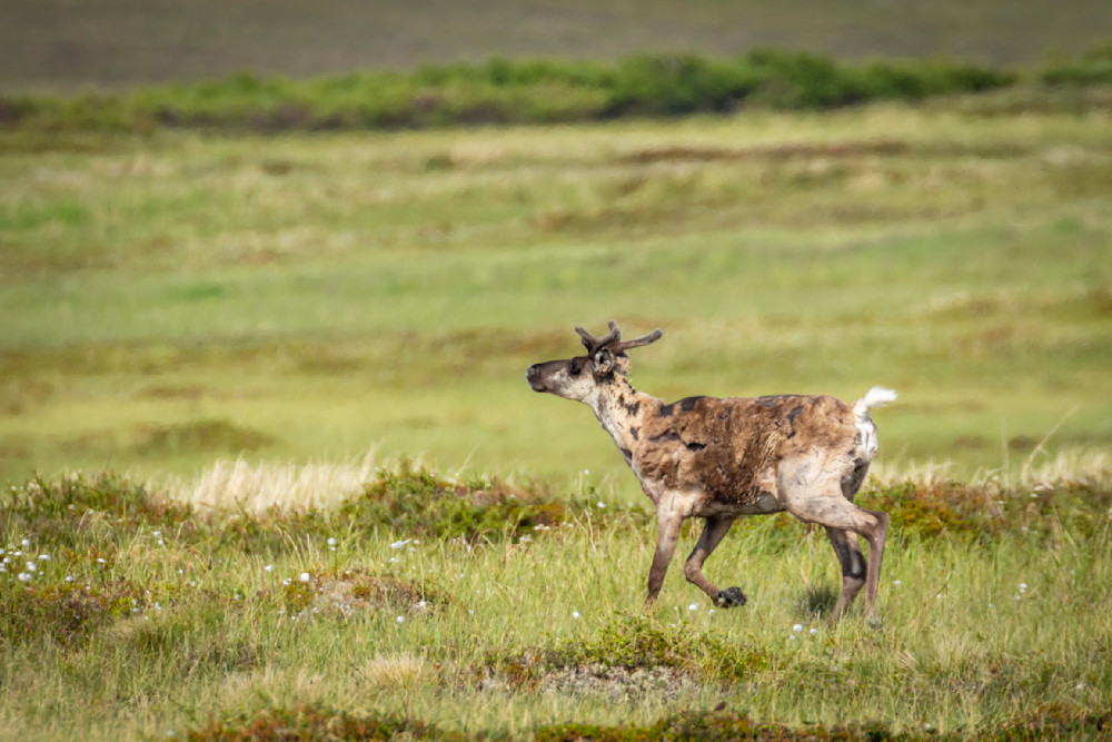 S00 A1647 Photography Art | Captured Adventure Photography