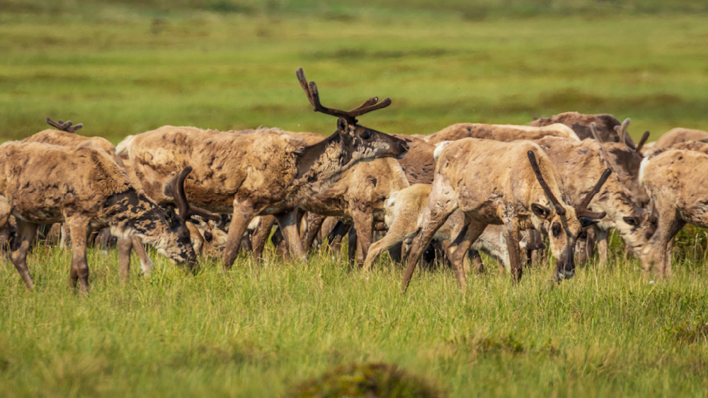 S00 A1675 Photography Art | Captured Adventure Photography